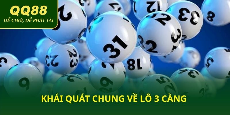 Khái quát chung về lô 3 càng