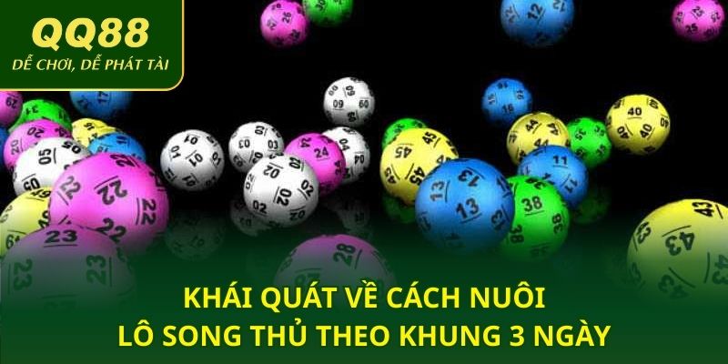 Khái quát về cách nuôi lô song thủ theo khung 3 ngày