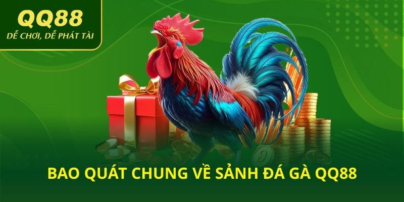 Bao quát chung về sảnh đá gà QQ88