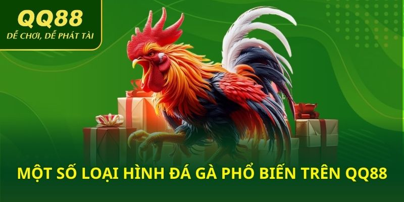 Một số loại hình đá gà phổ biến trên QQ88